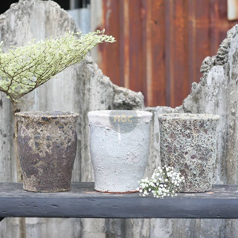 Trang Trí | 3179 Atlantic Bình Sao Thủy 17x17x20