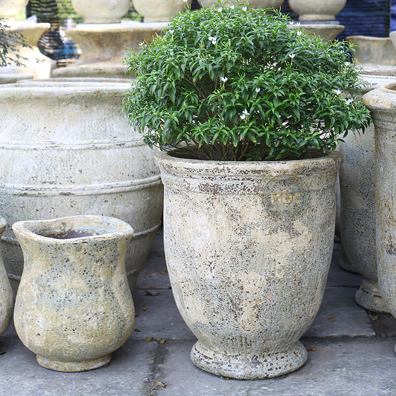 3261 Atlantic Ly Cúp 48x48x55 Màu Thời Đại