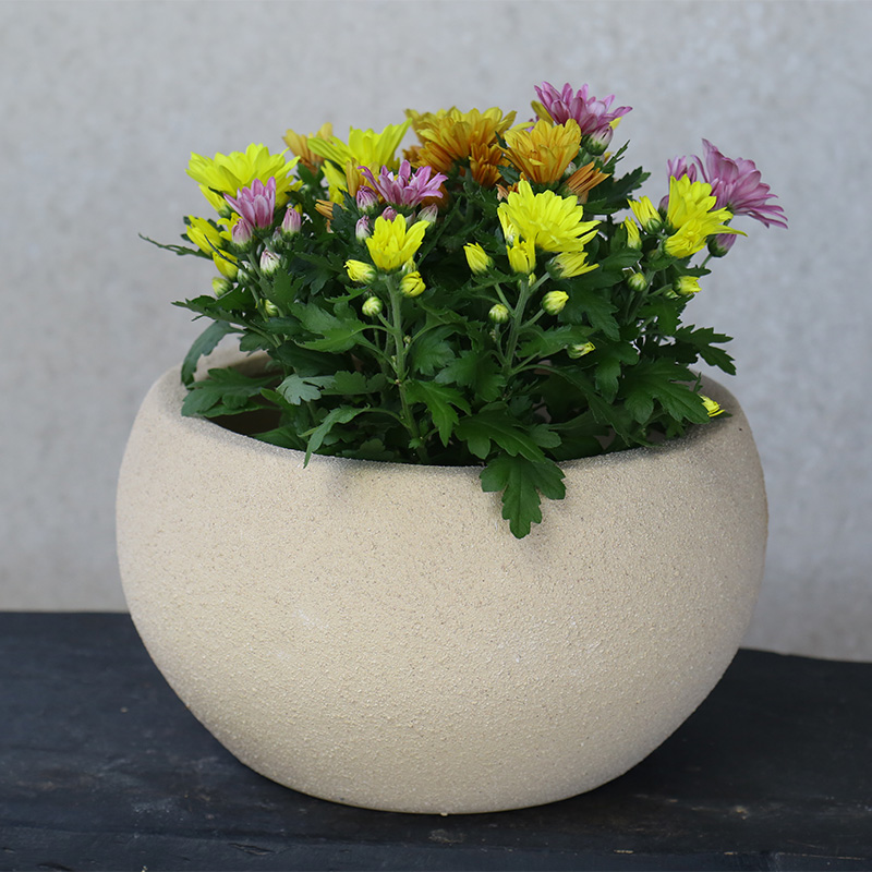 3216 Atlantic Tô Thấp 34x34x19 M30