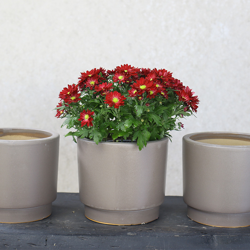 3438 Chậu Trụ Đáy Túm Men Lòng 18x18x15