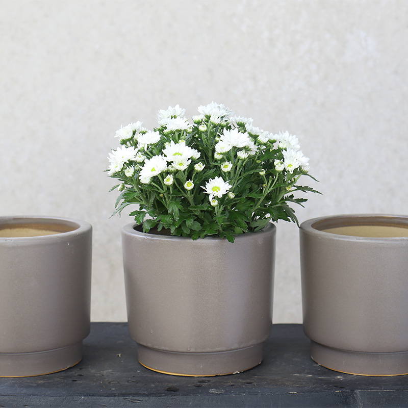 3438 Chậu Trụ Đáy Túm Men Lòng 18x18x15