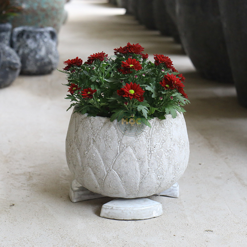 3449 Chân Kê Tam Giác Loại 2