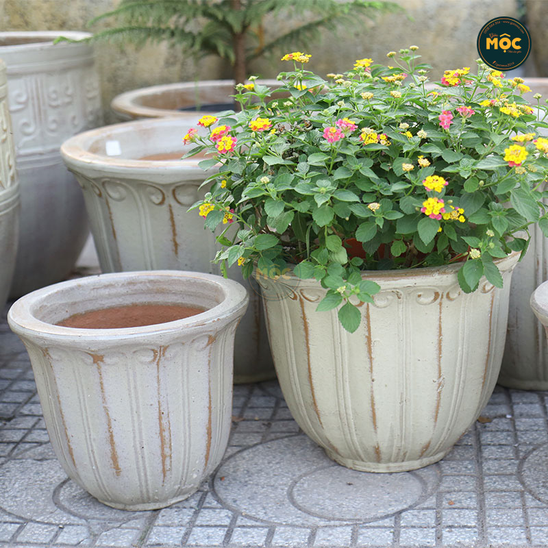 Men Mộc | 3872 Hoa Tulip Thấp 29x29x26