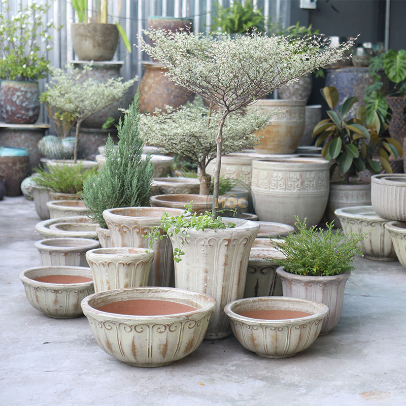 Men Mộc | 3872 Hoa Tulip Thấp 52x52x40