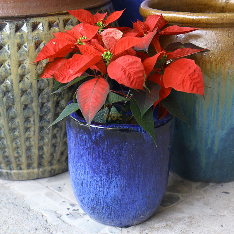 4131 OD Trụ Bo Đáy 27x27x30 Xanh Coban