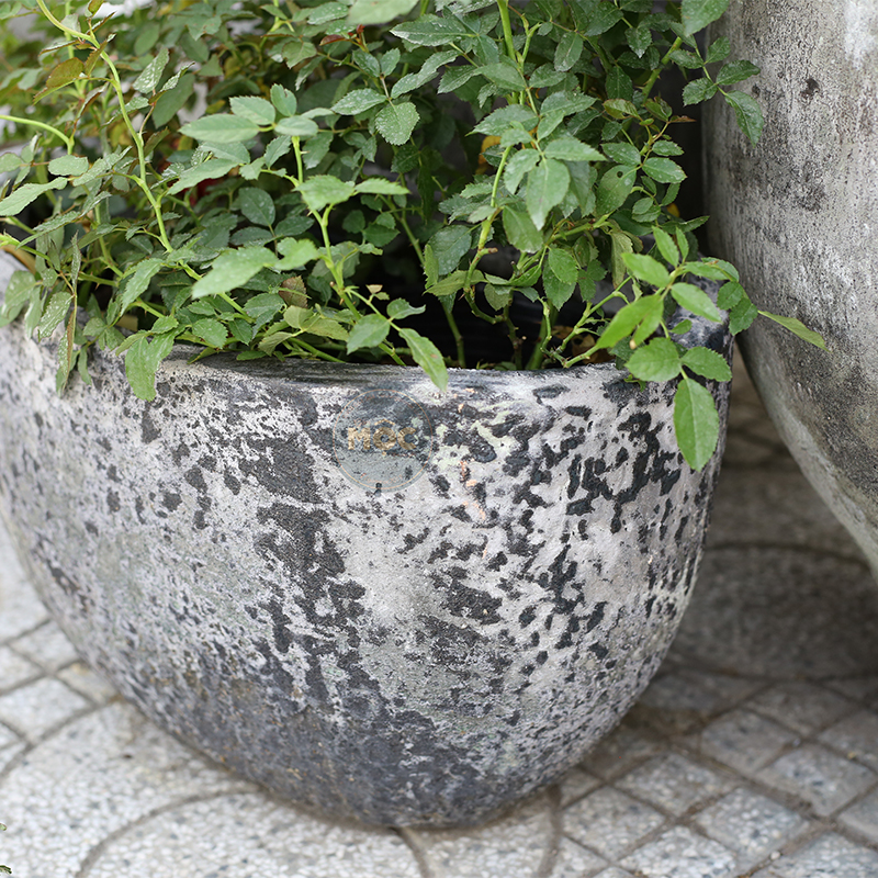 4046 Men Mỹ Thuật Hòn Đá Oval 45x28x29