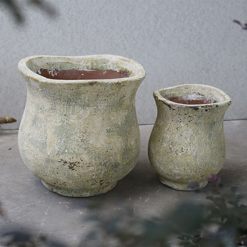 3259 Atlantic Tulip Miệng Bèo 50x50x50 M48 Màu Thời Đại