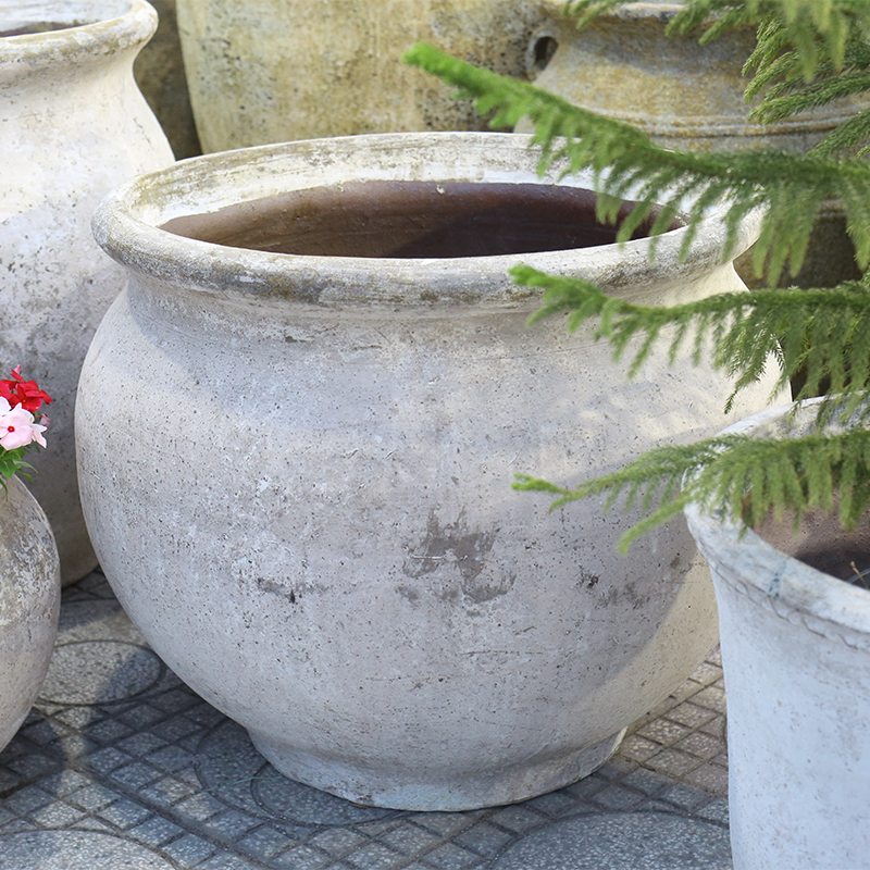 4024 Men Mỹ Thuật Hoa Tulip 75x75x61 M68