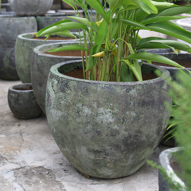 4047 Men Mỹ Thuật Trứng Cao 65x65x53 M59